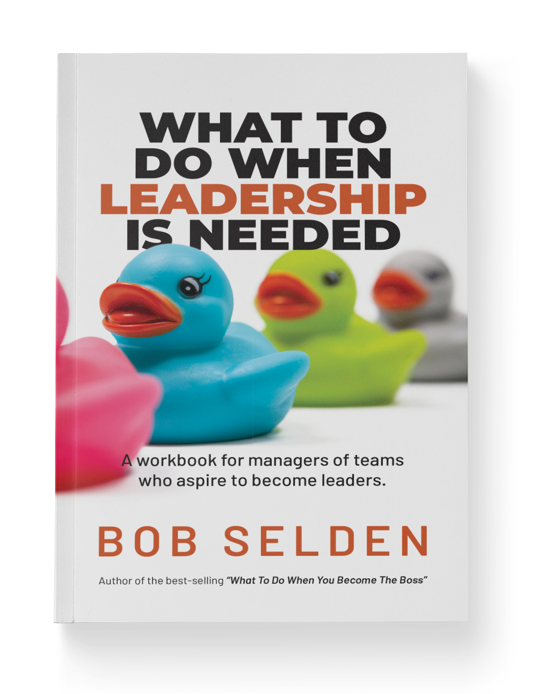 What To Do When Leadership is Needed