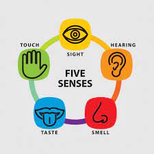 Using all five senses